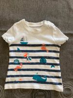 Baby Club T-Shirt Gr.68 ☀️ wNEU* C&A Meer Wal Boot blau gestreift Hessen - Birstein Vorschau