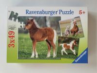 Ravensburger Puzzle 3 x 49 Teile Ponyfreundschaft Bayern - Penzing Vorschau