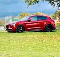 Alfa Romeo Stelvio Quadrifoglio 2.9 V6 Biturbo Hessen - Bad Schwalbach Vorschau