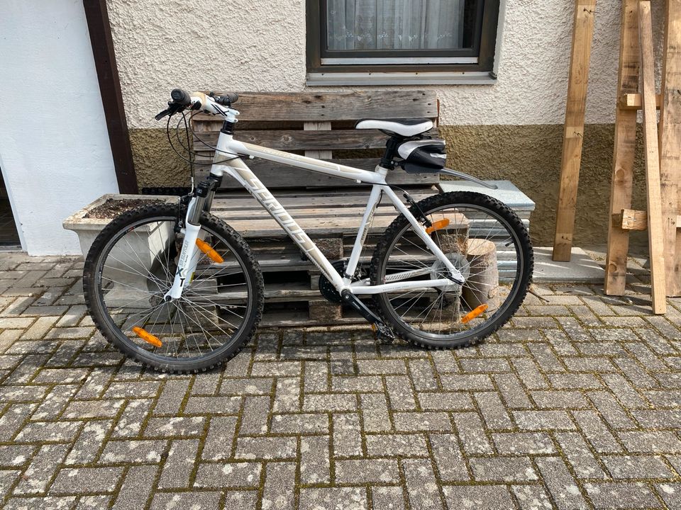 Fahrrad MTB Mountainbike 26“ in Meißenheim