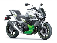 Kawasaki Z7 Hybrid Hessen - Weiterstadt Vorschau