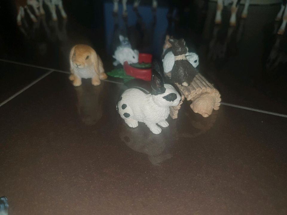 SCHLEICH Tiere Kuh, Schafe, Hase, Hühner, Gans in Neuruppin