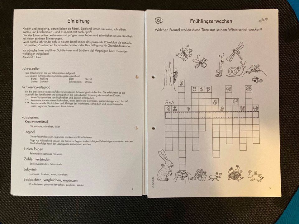 40 Rätsel zwischendurch SCHUBI 44 Kopiervorlagen mit Lösungen in Kaiserslautern