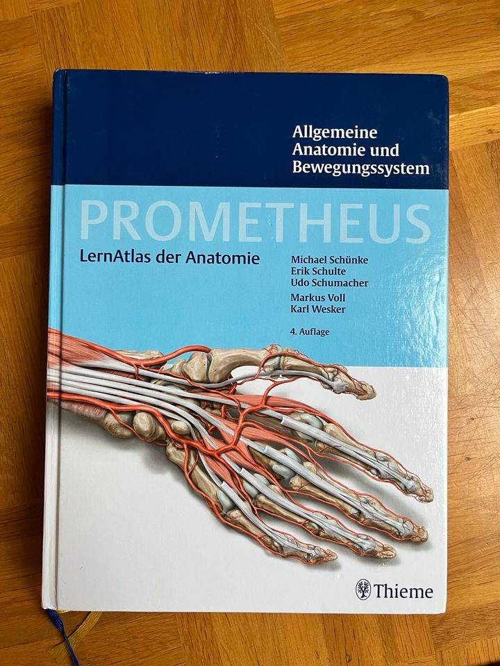 Promethen 4. Auflage, Neuroanatomie / Innere Organe / Anatomie in Marburg