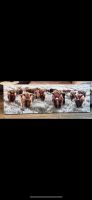 Leinwand Büffelherde 150 x 50 cm Nordrhein-Westfalen - Paderborn Vorschau