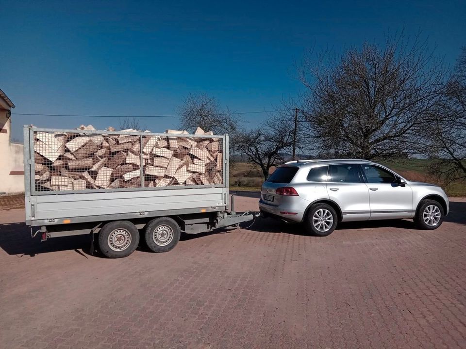 BRENNHOLZ - 100% TROCKEN oder fast trocken - Ofenfertig - Holz in Tholey