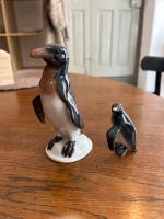 Rosenthal Pinguin Düsseldorf - Flehe Vorschau