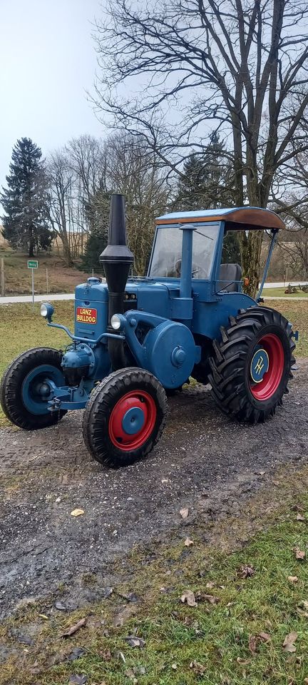 Oltimer Buldog Traktor Glühkopf Lanz in Bockhorn
