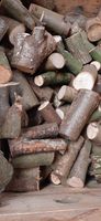 Trockenes Brennholz (Laubmischholz = Eiche und Buche gemischt) Niedersachsen - Großefehn Vorschau