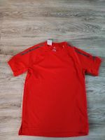 ADIDAS Sport T-Shirt Größe 152 Köln - Porz Vorschau