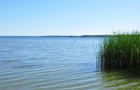 Baugrundstück in der Nähe vom Plauer See an der Mecklenburgischen Seenplatte  Müritz Parchim - Landkreis - Plau am See Vorschau