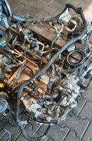 MOTOR VW CADDY 2.0TDI DFF CUUD DFSD DFSB DFSF DFSC CUUC CUUB Nordrhein-Westfalen - Schloß Holte-Stukenbrock Vorschau