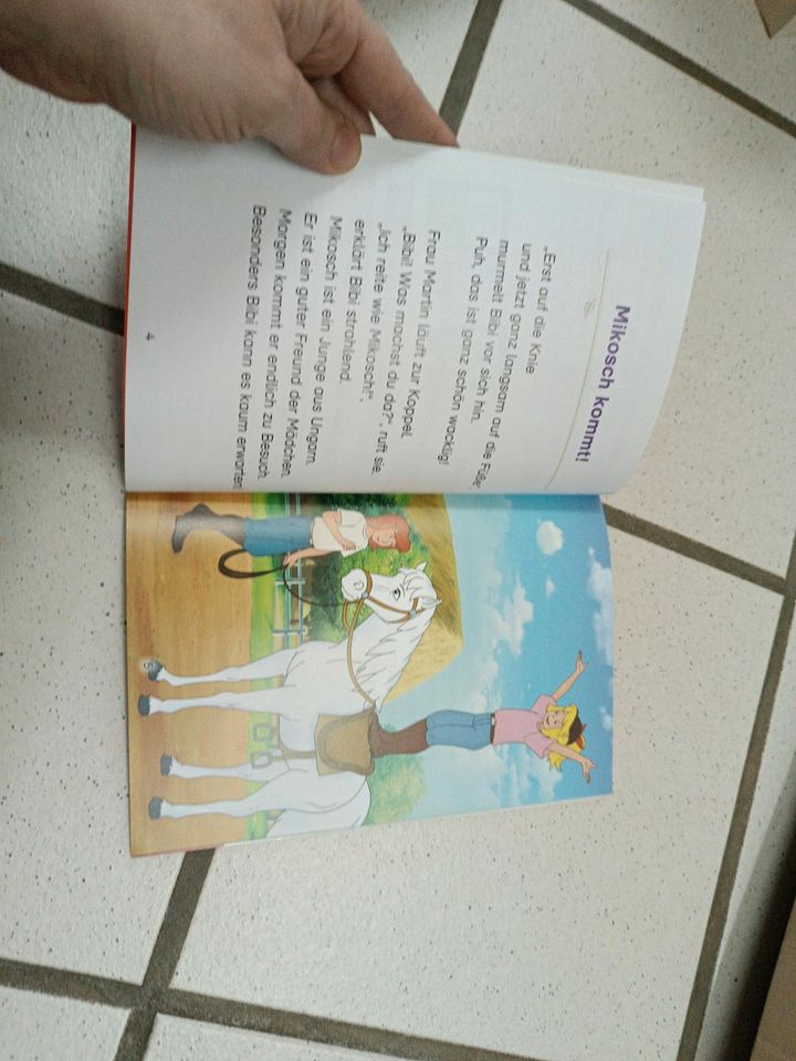 Bibi und Tina Kinderbuch in Namborn