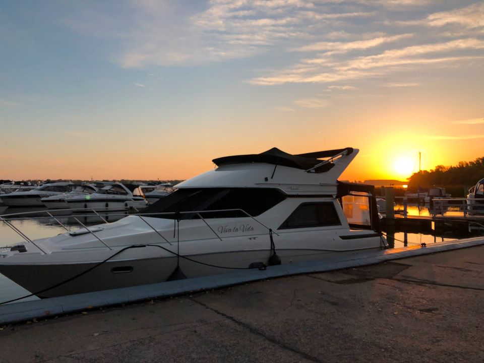 Bayliner 3258 FLY mit Liegeplatzoption Sofort startklar in Werder (Havel)