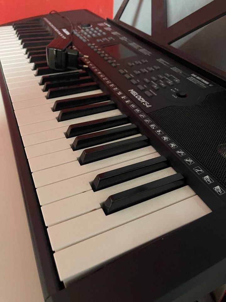 Keyboard Alesis Melody 54 in Herrenberg