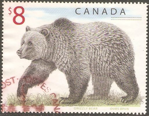 Kanada 1647 ° Fauna Kanadische Tierwelt - Grizzly Bär - Braunbär in Kamen