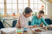 Groß Sarau Nachhilfe: Mathe Physik Chemie Rewe Deutsch Englisch Schleswig-Holstein - Groß Sarau Vorschau