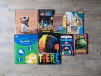 (Kinder-)Bücher-Sammlung Sachsen - Riesa Vorschau