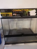 Terrarium – Exo Terra B 60cm x H 45cm x T 45 cm Nordrhein-Westfalen - Gütersloh Vorschau