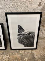 Desenio Butterfly Cat Poster - schwarz-weiß Dresden - Neustadt Vorschau