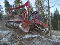 Forstmulchen, Wurzelstockfräsen, Kulturfläche vorbereiten Baden-Württemberg - Dietingen Vorschau