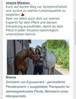 Ganzheitliche Hilfe für atemwegserkrankte Pferde / Equines Asthma Rheinland-Pfalz - Bitburg Vorschau