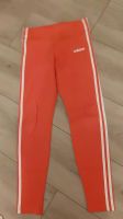 Adidas Sporthose Gr.170 Nordrhein-Westfalen - Goch Vorschau