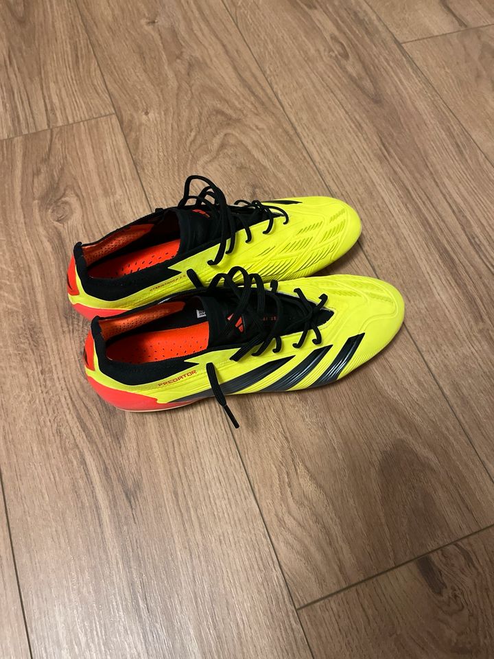 Adidas Predator FG Stollen in Frankfurt am Main