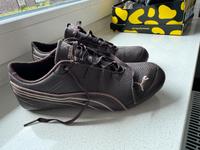 Puma Schuhe Gr. 35,5 Schleswig-Holstein - Eckernförde Vorschau