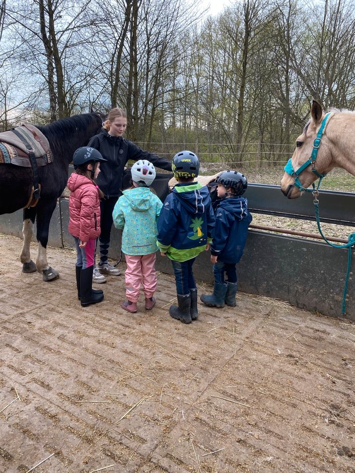 Kinderreitstunden von 3-12 Jahren in Pocking