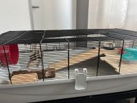 Käfig für Hamster XXL Baden-Württemberg - Linkenheim-Hochstetten Vorschau