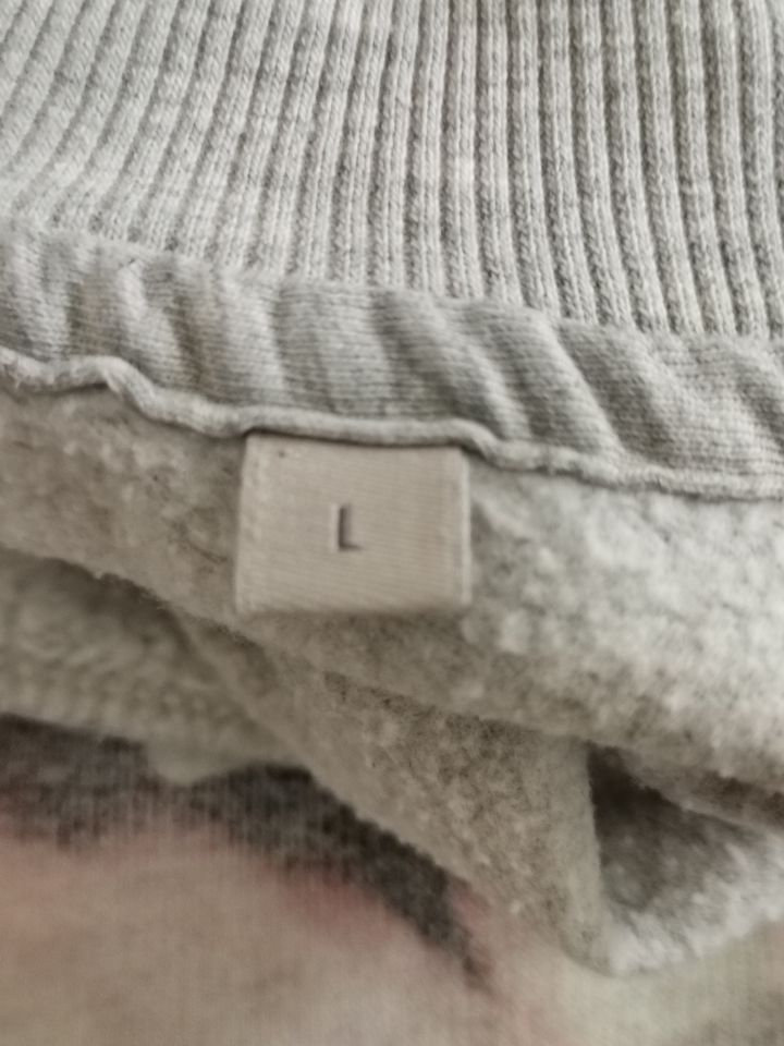 Grauer Gremlins Pullover in der Größe L in Unna