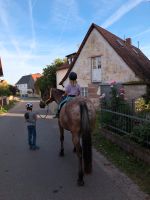 Reitferien/ Kinder/ Pferde/ Reiten/ Abenteuer/ Ferien Bayern - Frensdorf Vorschau