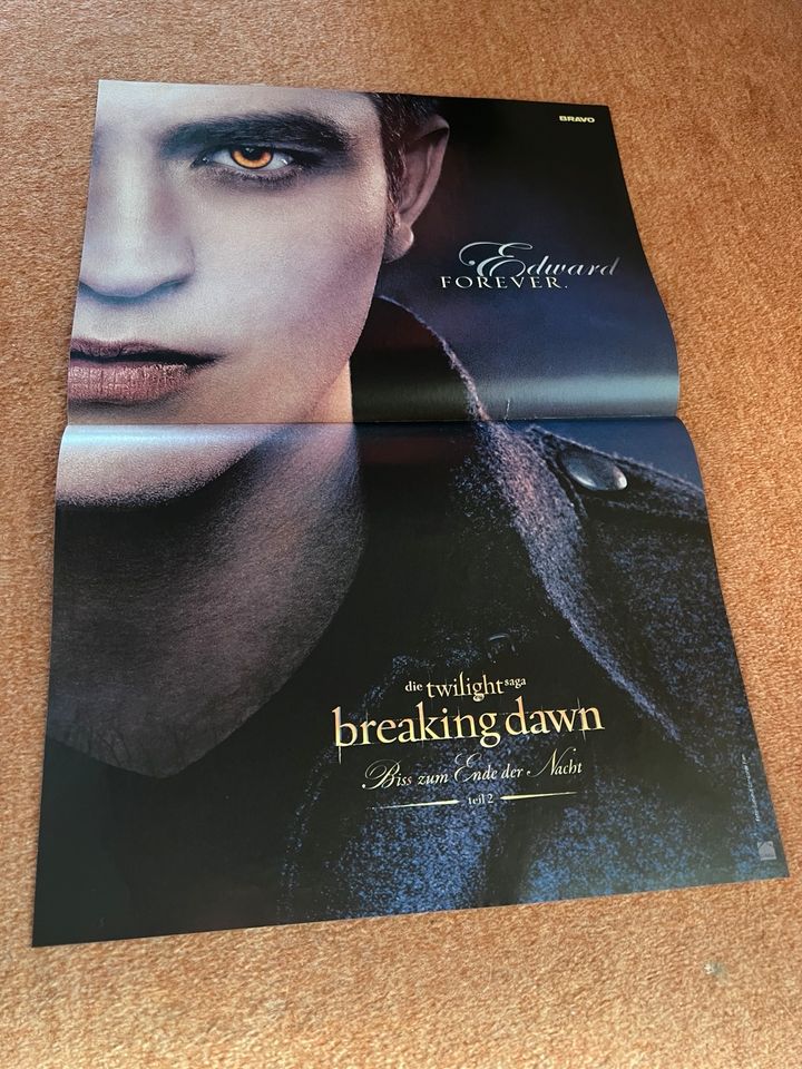 Taylor Lautner, Twilight, Poster, Buch in Norderstedt