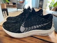Nike ZoomX Pegasus Turbo Flyknit Nature 46 Running Sneaker Nordrhein-Westfalen - Waltrop Vorschau