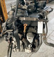 Motor Audi Seat Skoda VW VAG 1,4 TDI  75 PS BAY 13133 Coswig (Anhalt) - Buko Vorschau