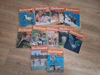 11 Tierfreunde Hefte/Zeitschriften aus den 80er Bayern - Eichenau Vorschau