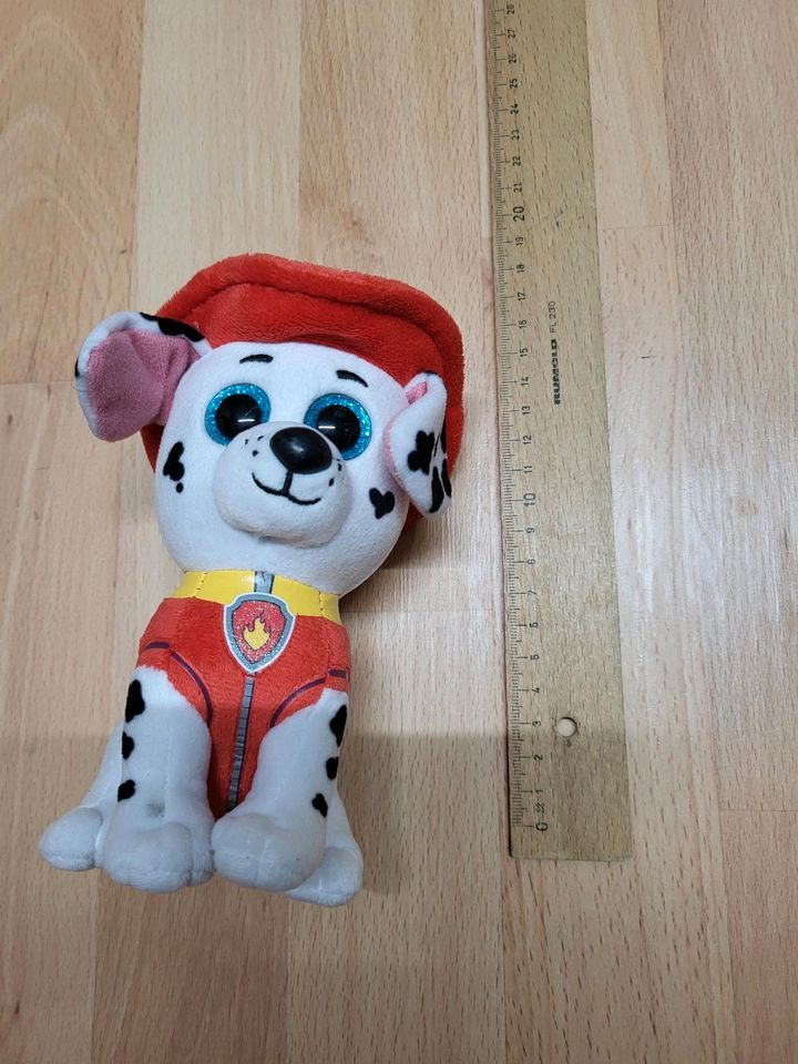 Ty Marshall paw patrol in Geretsried