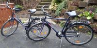 Herren & Damen-Fahrrad  7Gang 28" Marke:Schauff Modell -Madeira- Bayern - Goldbach Vorschau