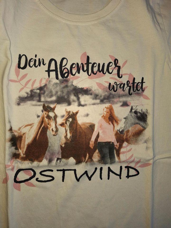 2er Set Shirt OSTWIND Gr 164 Pferde Mädchen in Schlanstedt