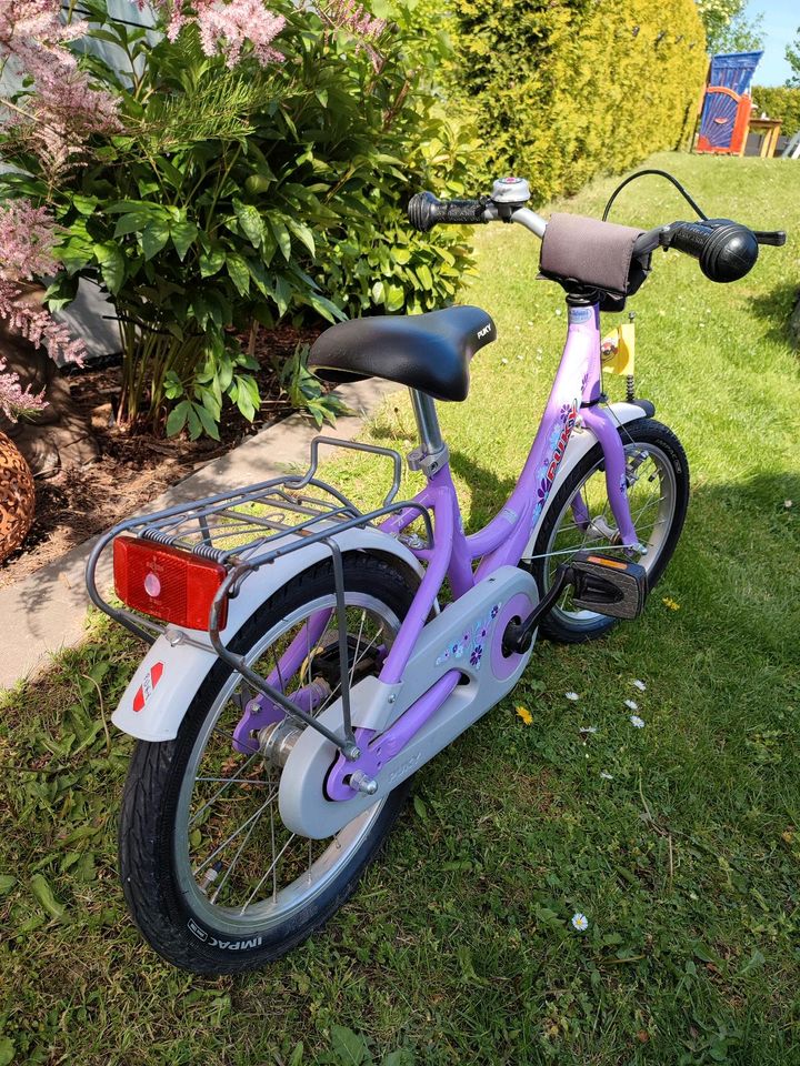 Puky Kinderfahrrad Alurahmen guter Zustand 16 Zoll in Worbis