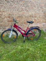 Pegasus Avanti 24 Zoll Fahrrad Mecklenburg-Vorpommern - Anklam Vorschau