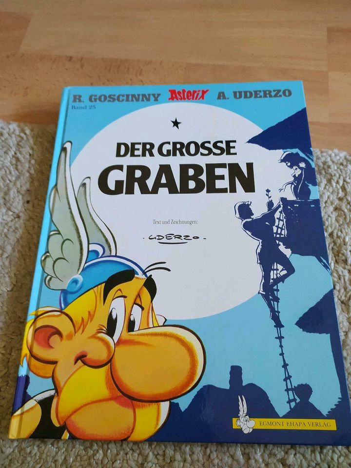 Asterix und Obelix diverse Ausgaben in Hamburg