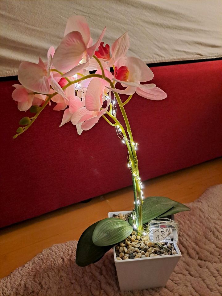 Tausche 3 künstliche Orchideen gegen in Mertingen