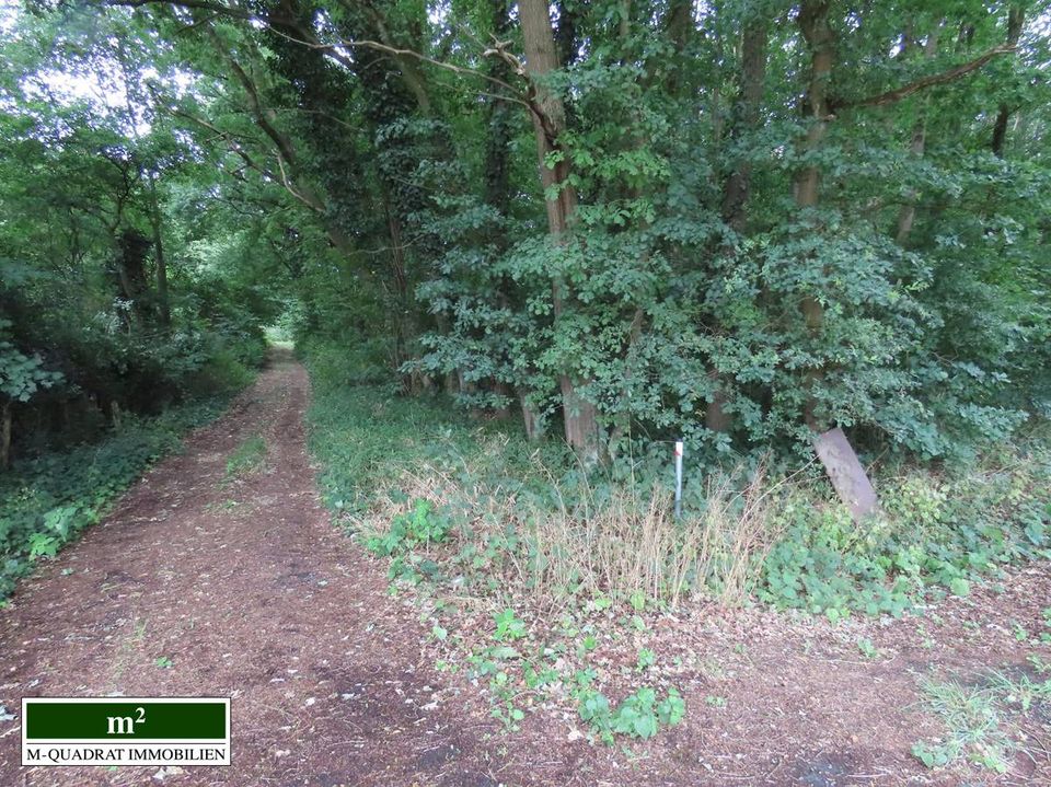 Ob Fleck im Grünen zur Erholung oder krisenfeste Wertanlage... Kaufen Sie Ihren eigenen Wald! in Haltern am See