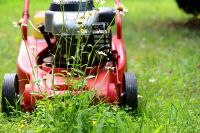 Grün-, Garten- und Landschaftspflege Dresden - Cossebaude Vorschau