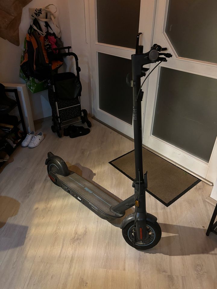 Ninebot G30d E Scooter in Babenhausen