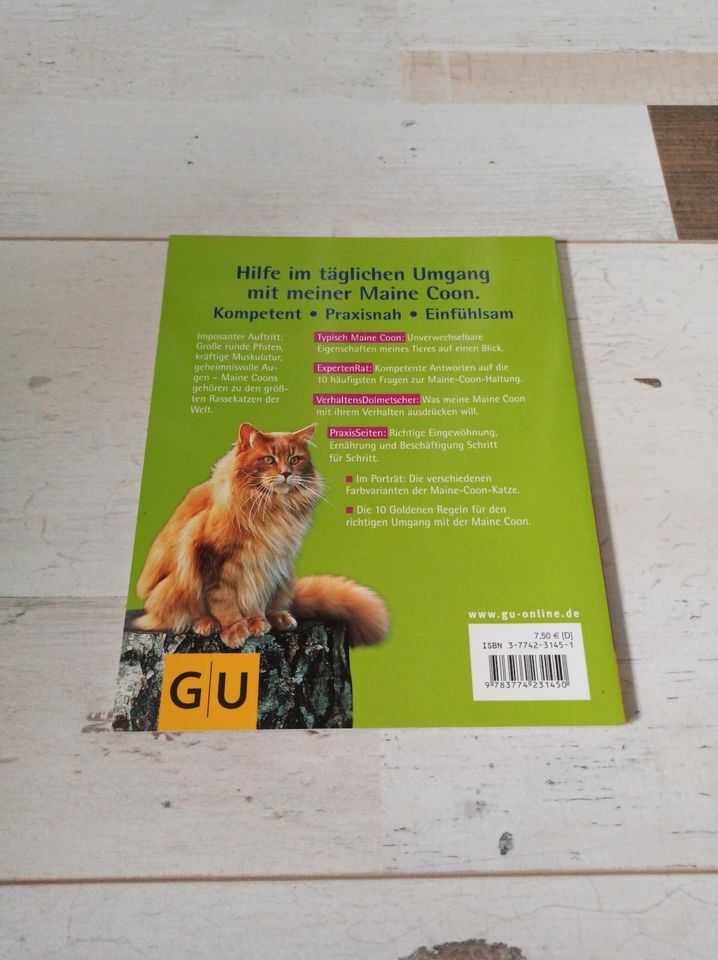 Maine Coon Buch GU in Nümbrecht