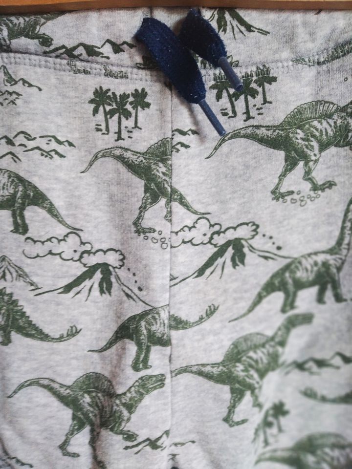 H&M Jogginghose Joggers Sweathose Dinos hellgrau Gr. 140 /9-10 J. in Lindau