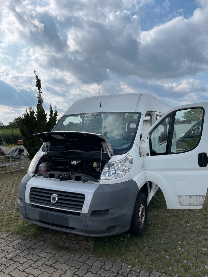 Ducato Jumper Boxer Motorhaube Typ250 in Braunschweig